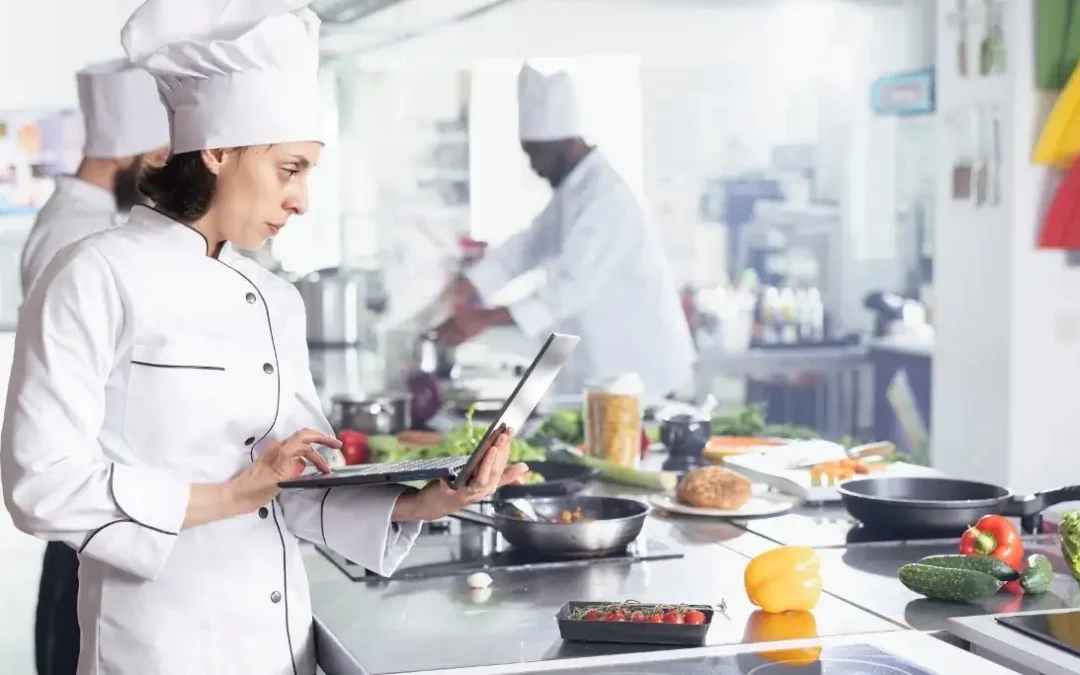 Professional hot plates and cooking surfaces: